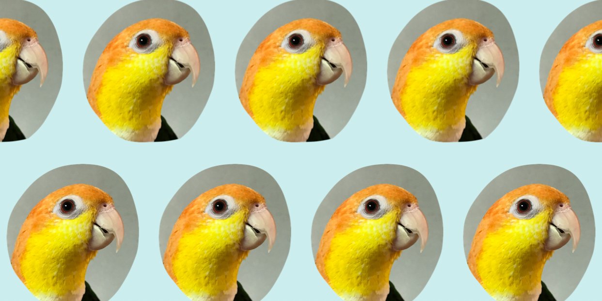 s_hatachan's profile banner image