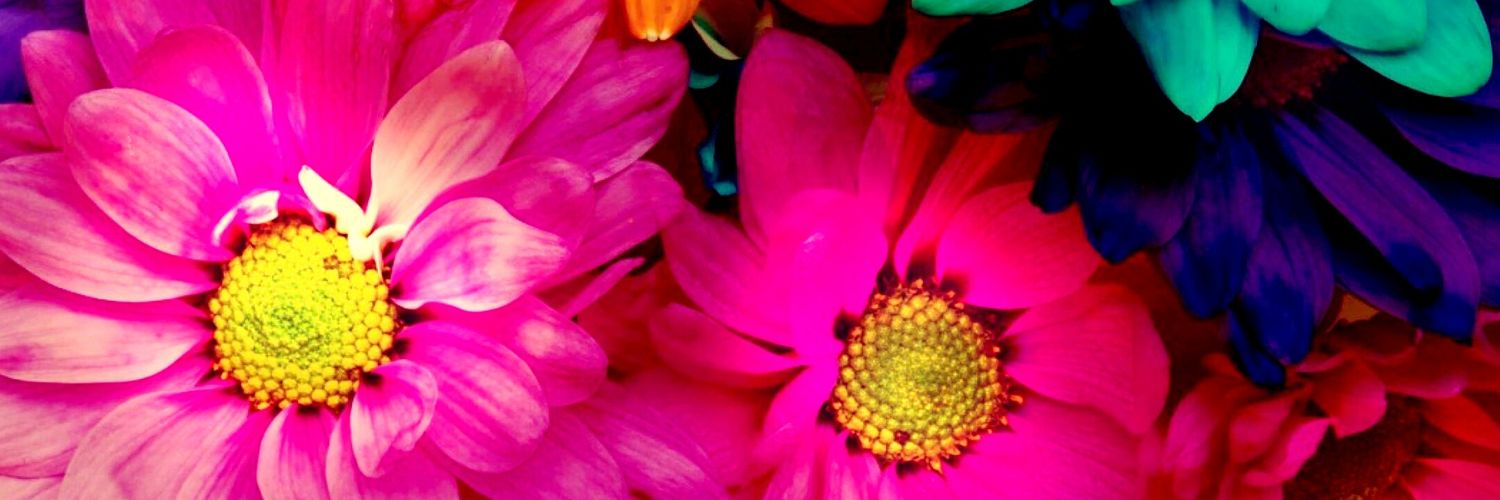 krissychau's profile banner image