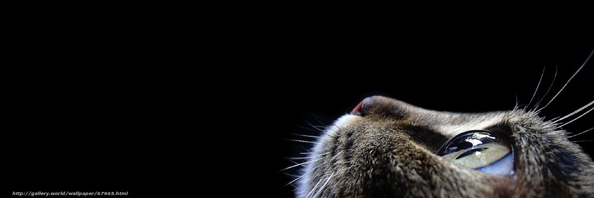_AmorAlOdio's profile banner image