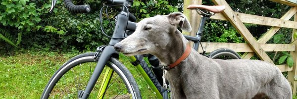 RegGodwin Profile Banner
