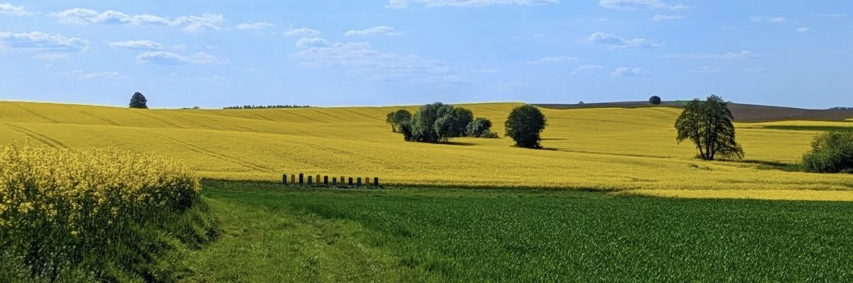withoutlaughter's profile banner image