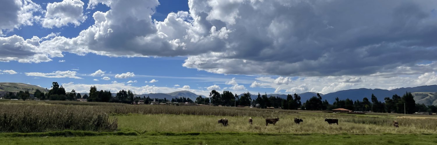 Piero Corvetto banner