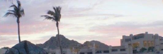 waydegdr's profile banner image