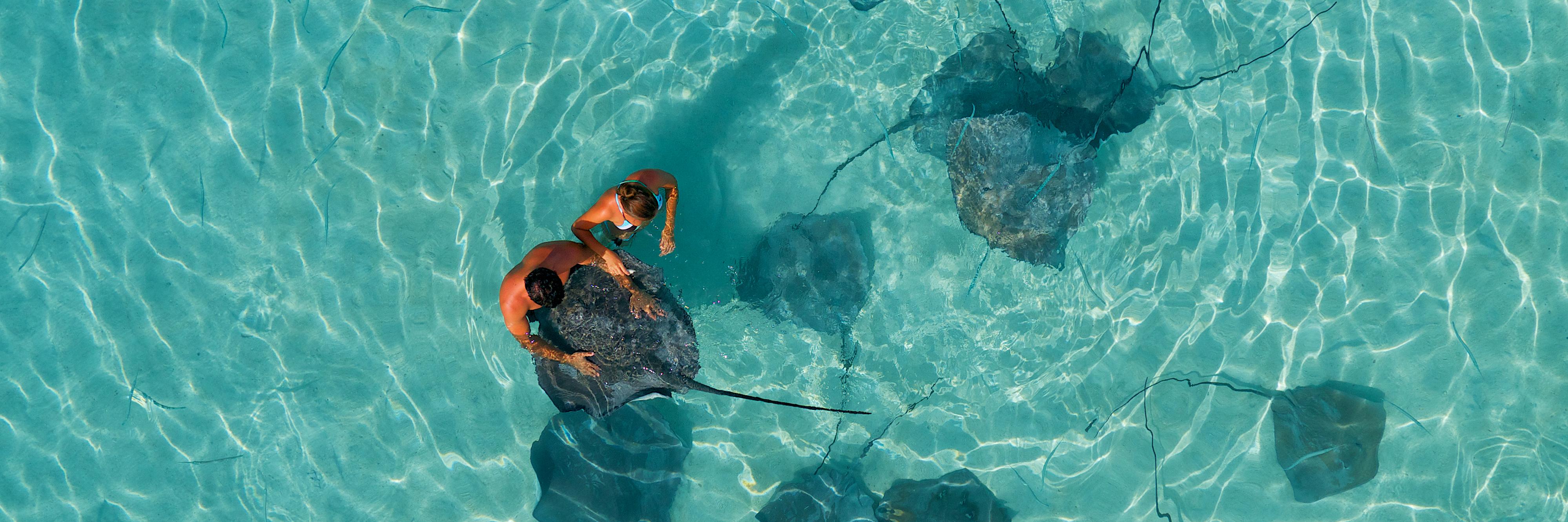 IC French Polynesia banner