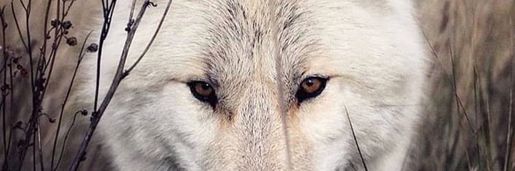 bossmackn74's profile banner image