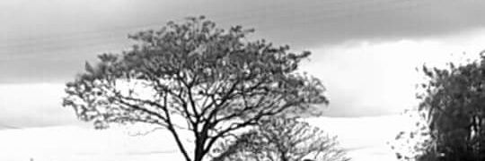 MarcosBezC's profile banner image