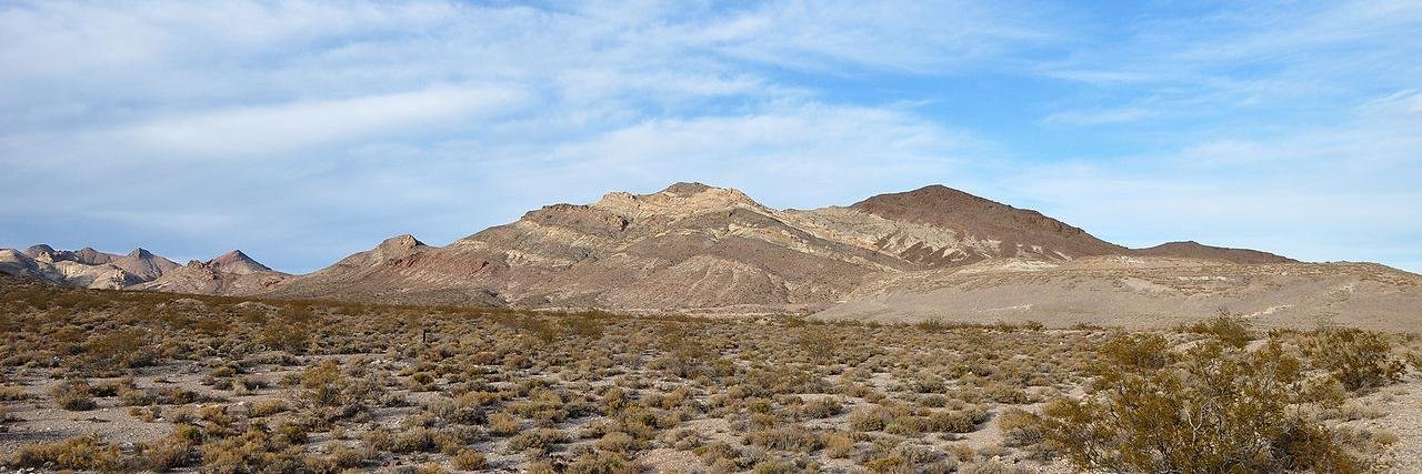 CowboyX™ 🥃🦅🇺🇲 banner