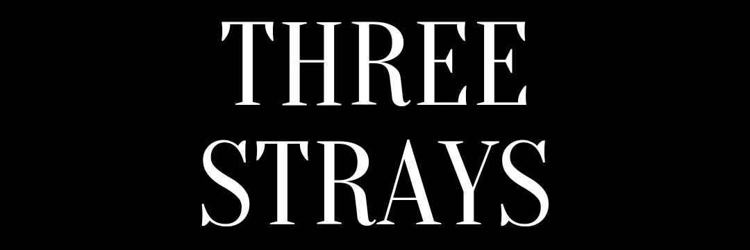 threestrays's profile banner image