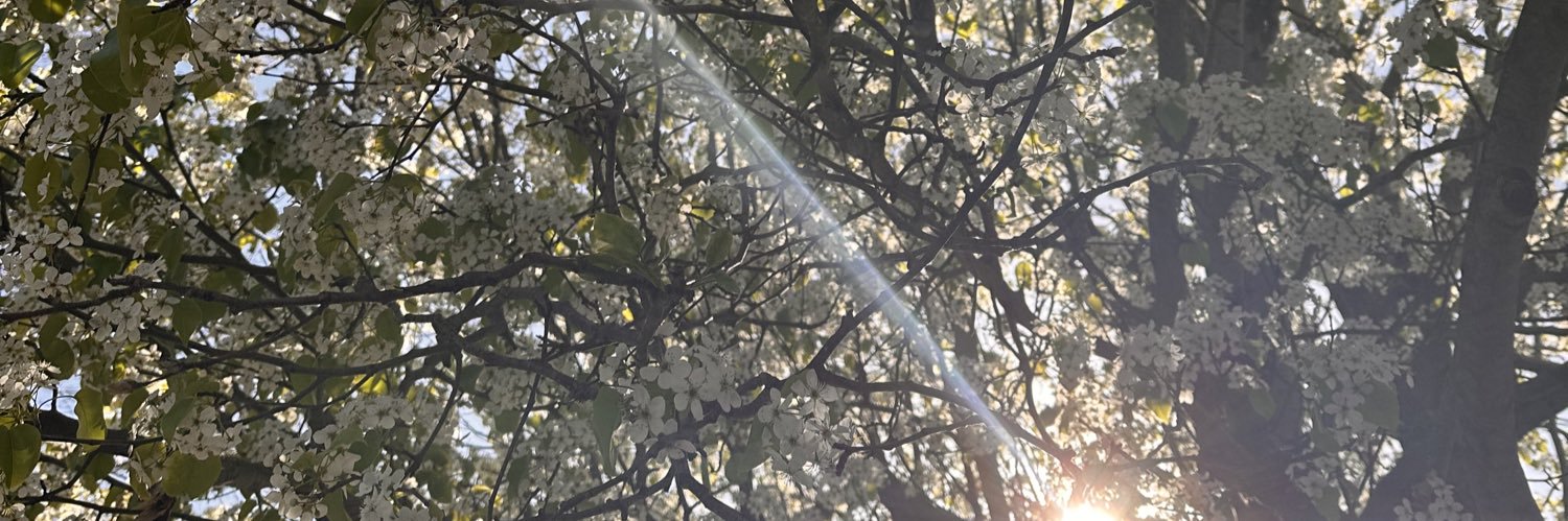 C0C0NAT_'s profile banner image