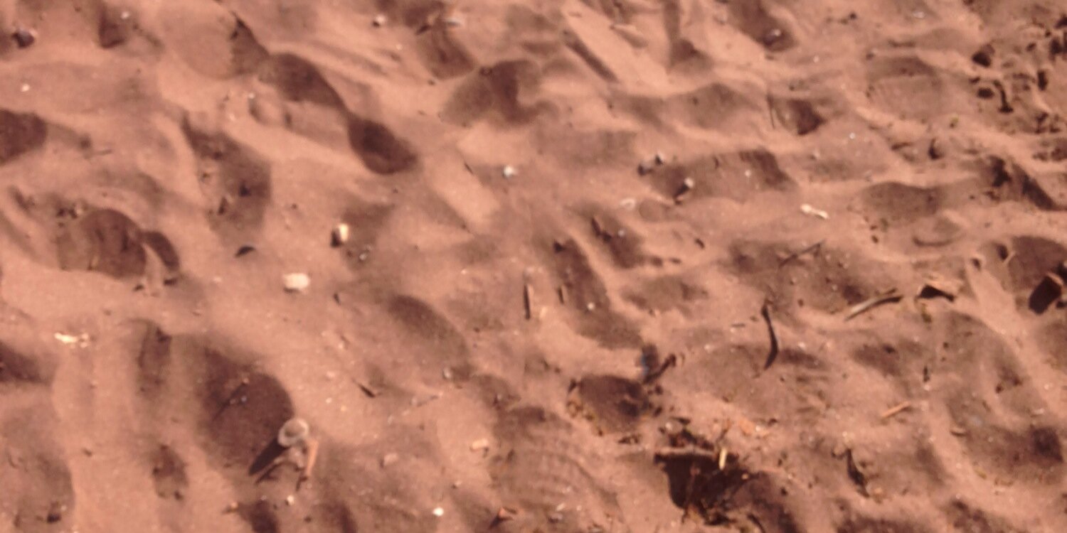 canadianindevon's profile banner image