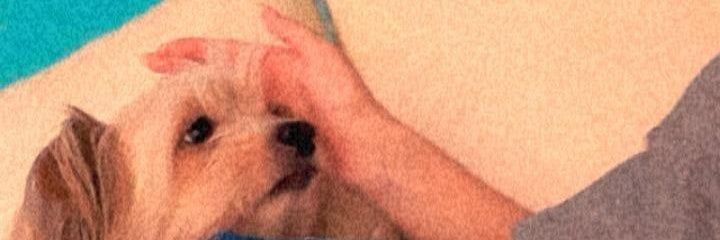 martinezdelfi_'s profile banner image