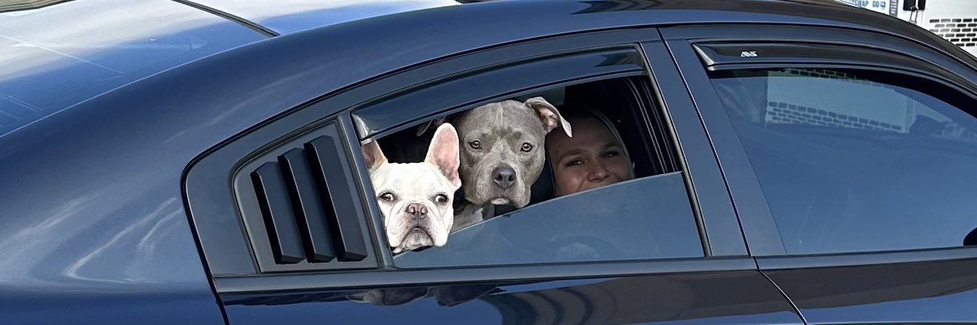 ParkerAugustt's profile banner image