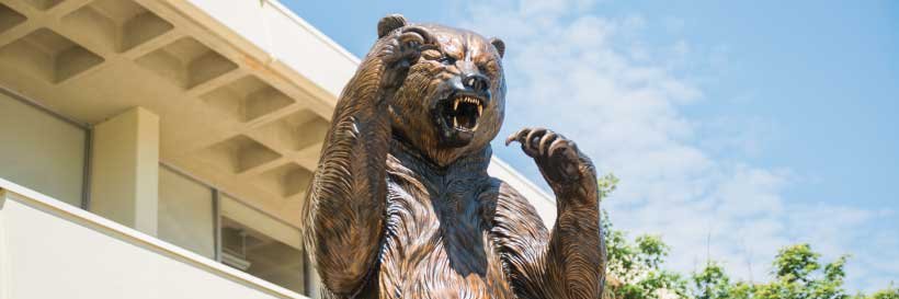 College of Professional Advancement banner