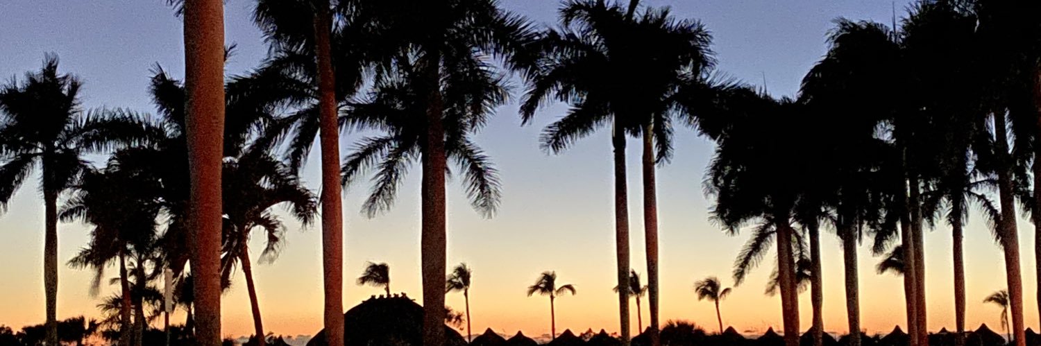 sanmarcocat's profile banner image