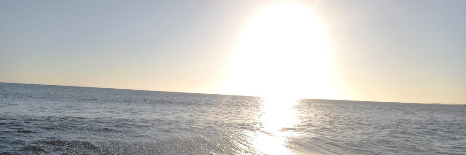 CVIDIOSIN's profile banner image