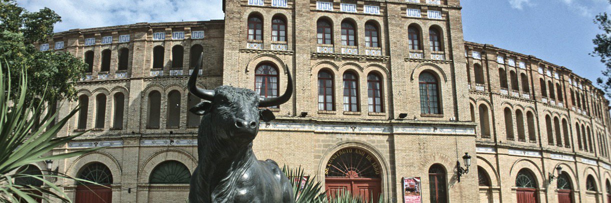 TomasEntero's profile banner image
