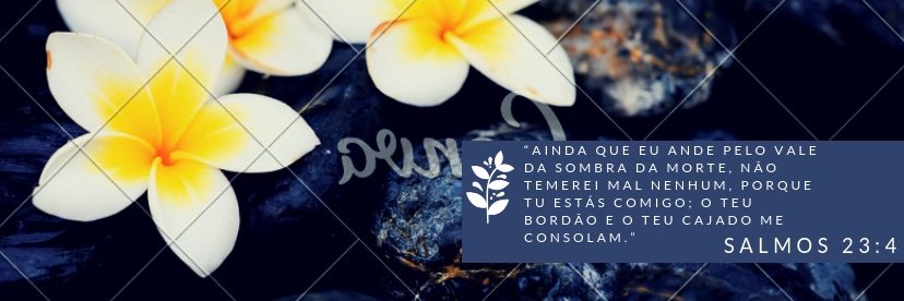 YasminSayo's profile banner image