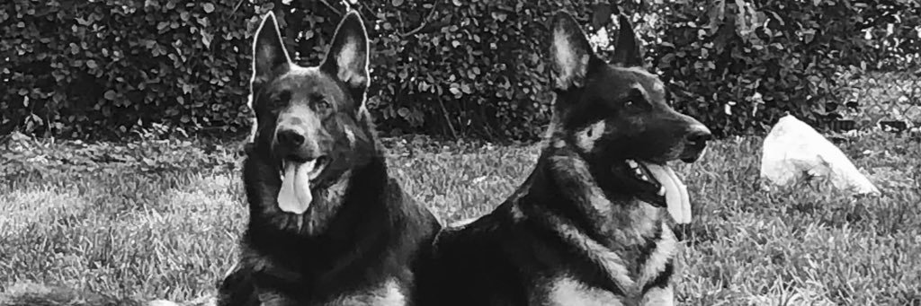 cMonsTah95's profile banner image