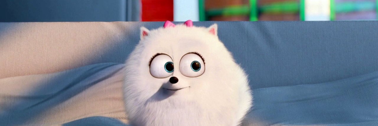 CinemaGal1's profile banner image