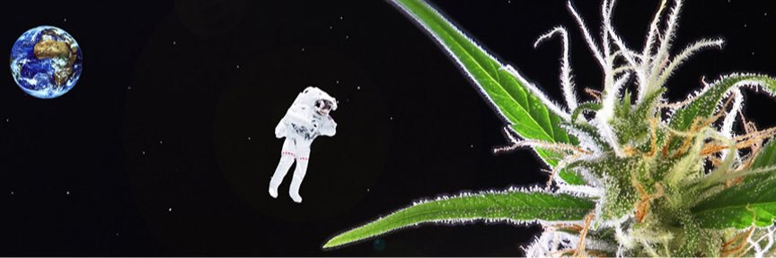 jparis_1's profile banner image