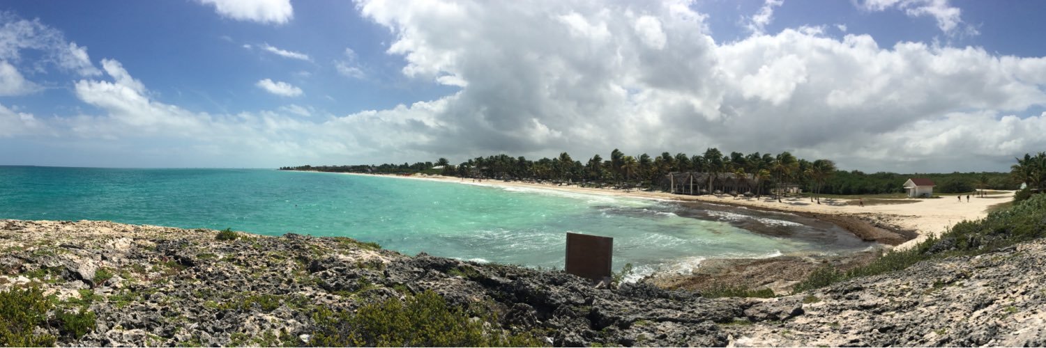 RebeccaMozzer's profile banner image