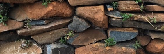 maadsthomas's profile banner image