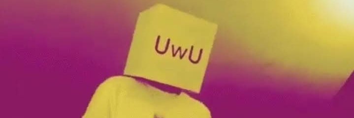 KohiSparkleman's profile banner image