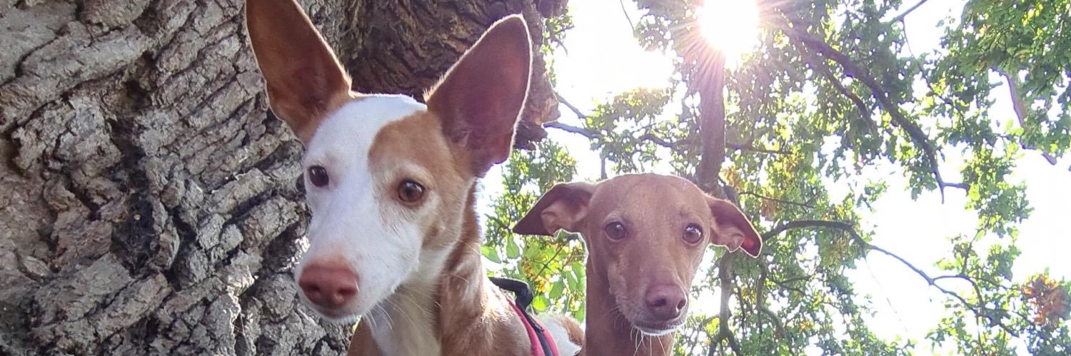 Z’s proud to be an EYFS rebel banner