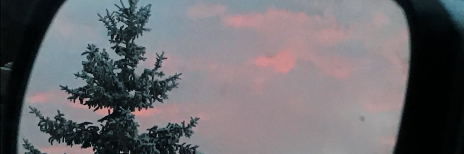 RandilynMarie's profile banner image