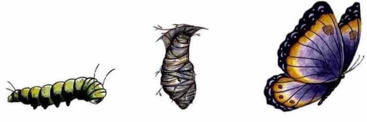 ShadyAssSha's profile banner image