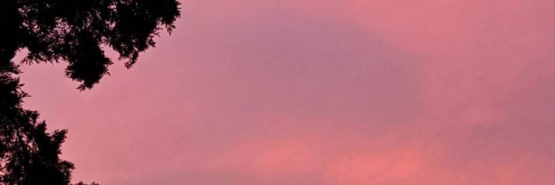 CarrrlaS's profile banner image