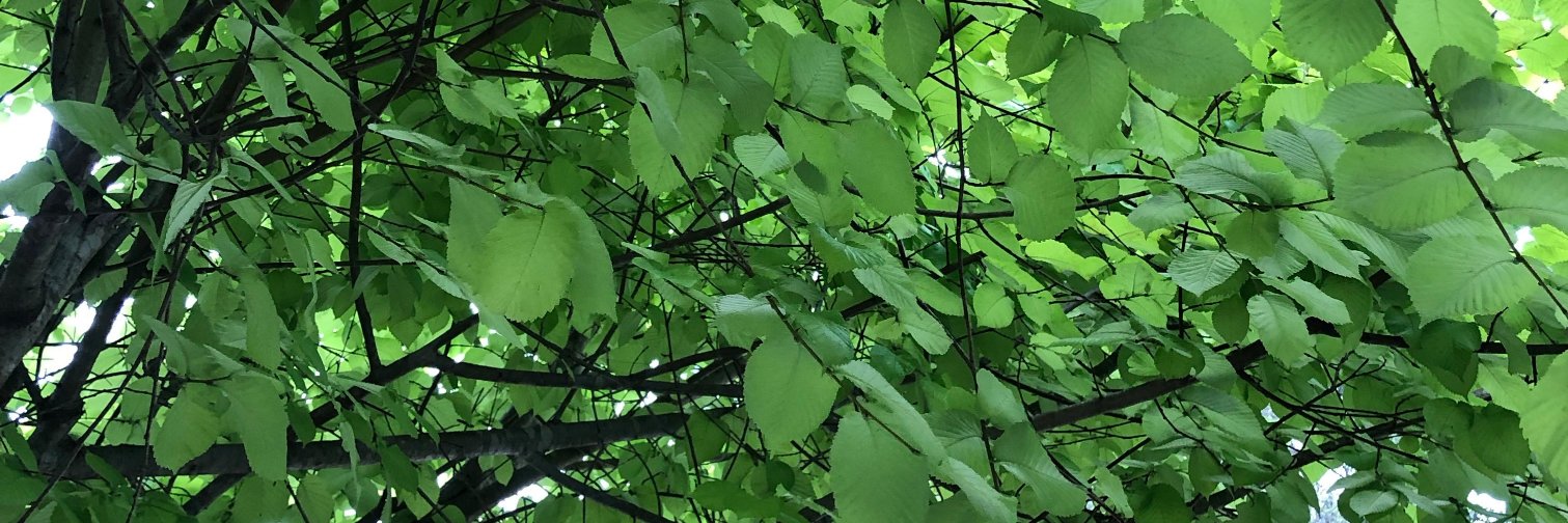 JamesABeauchamp's profile banner image