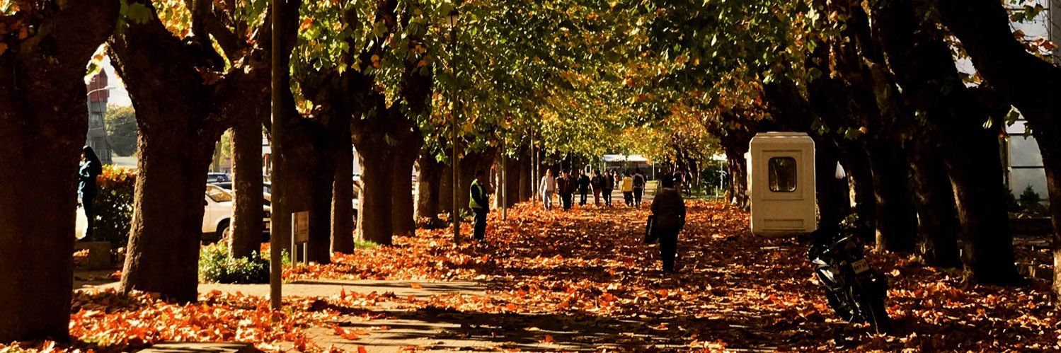 Roberto Burdiles Allende banner