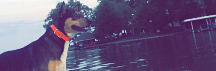Jallgood16's profile banner image
