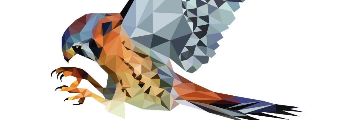 Kestrel's profile banner image