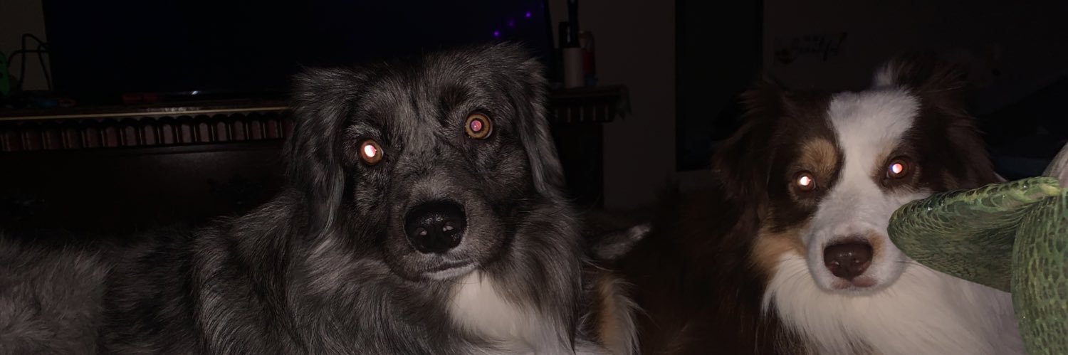 TheAlleykins's profile banner image