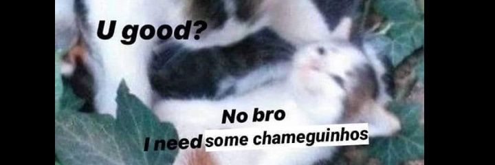 nickgrevetti's profile banner image