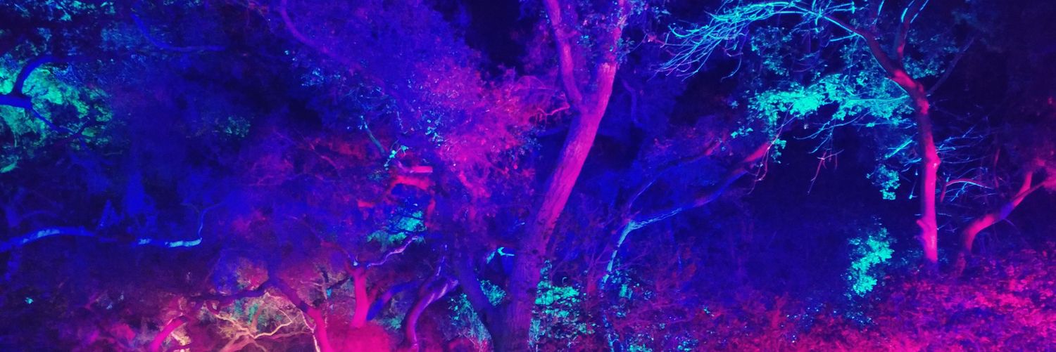 canwebedonenow's profile banner image