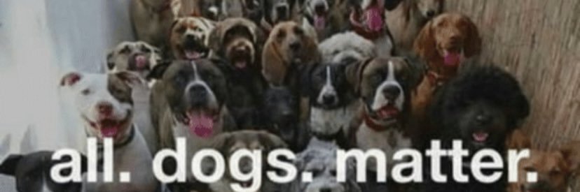 The Dog Crusader🐾 banner