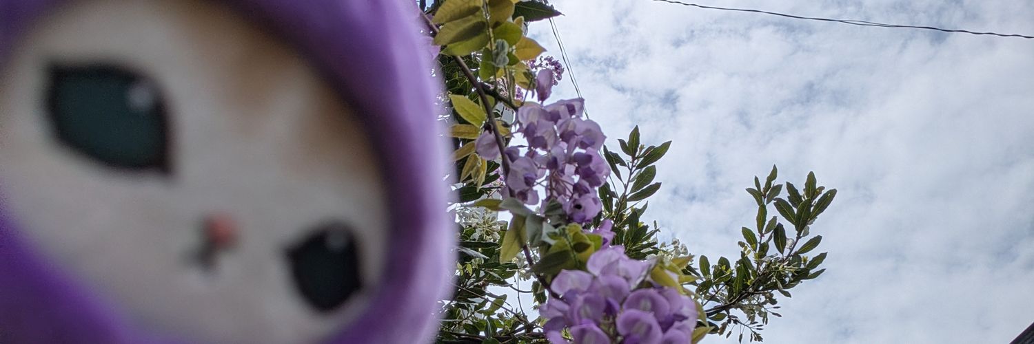 New0729's profile banner image