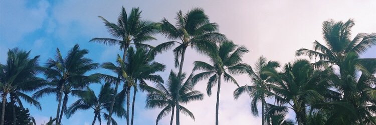 hannahn115's profile banner image