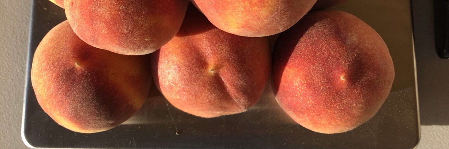 NaylorOrganics's profile banner image