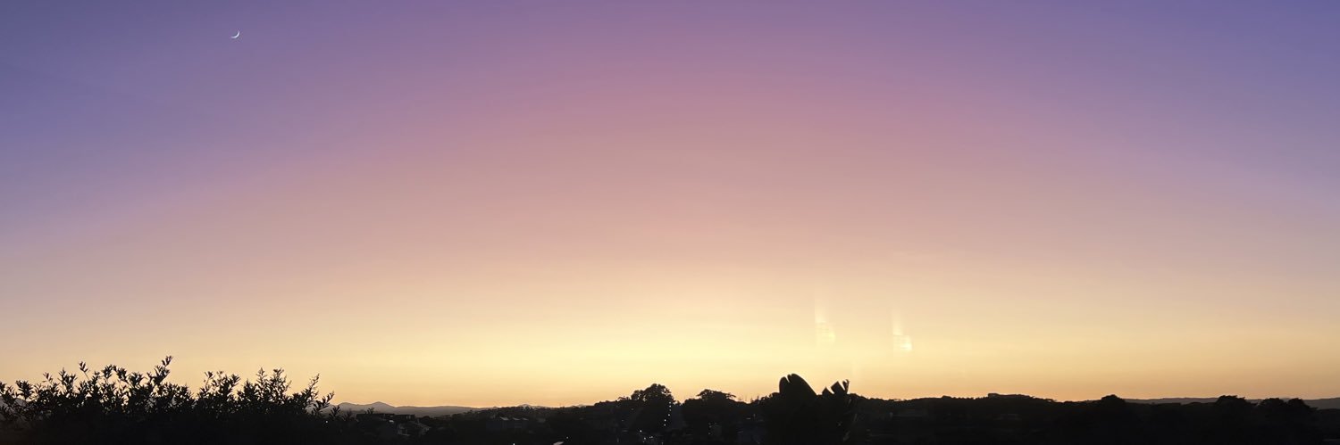 erinlarosaa's profile banner image