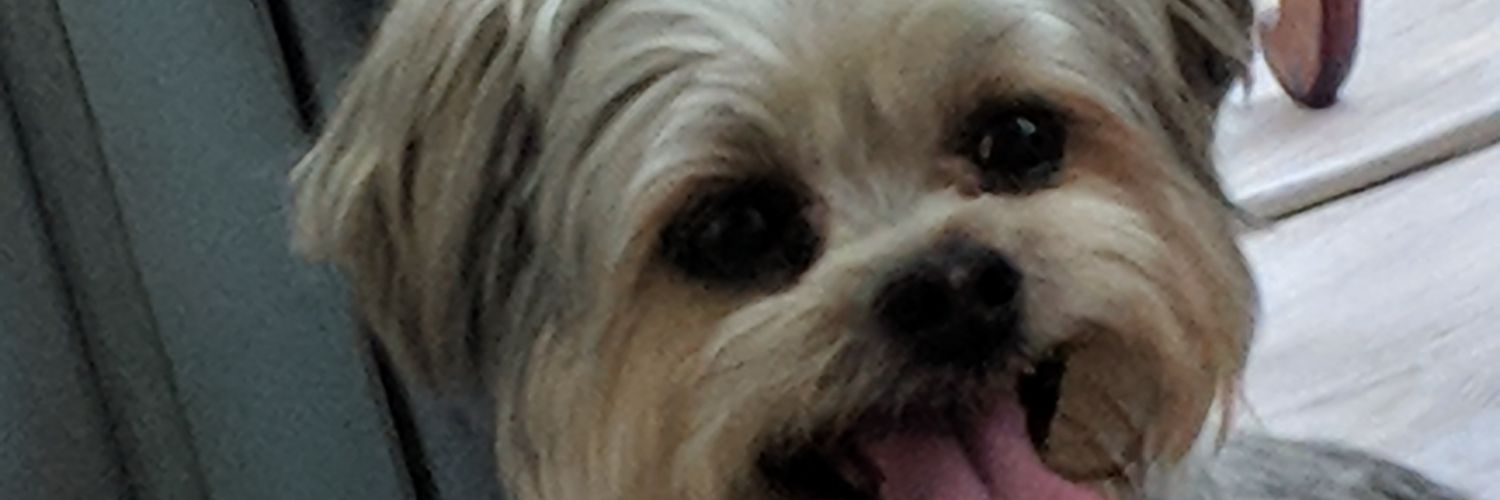 franetic2's profile banner image