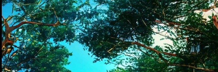 Ari 💙 banner