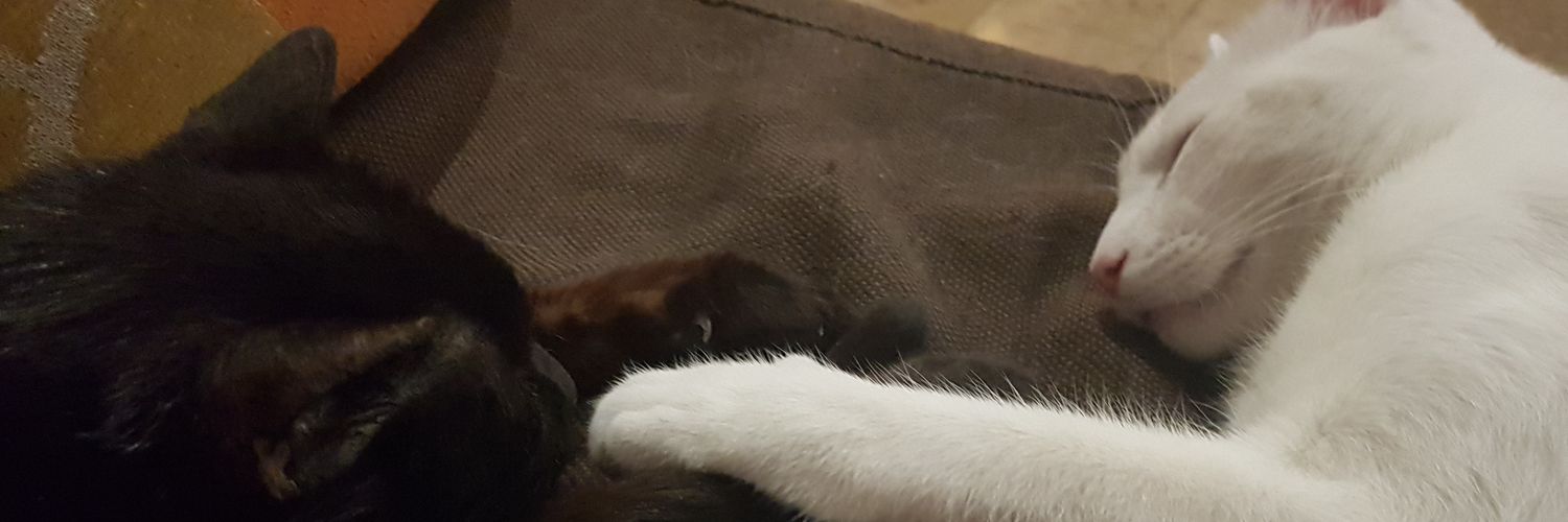 Silvisalo's profile banner image