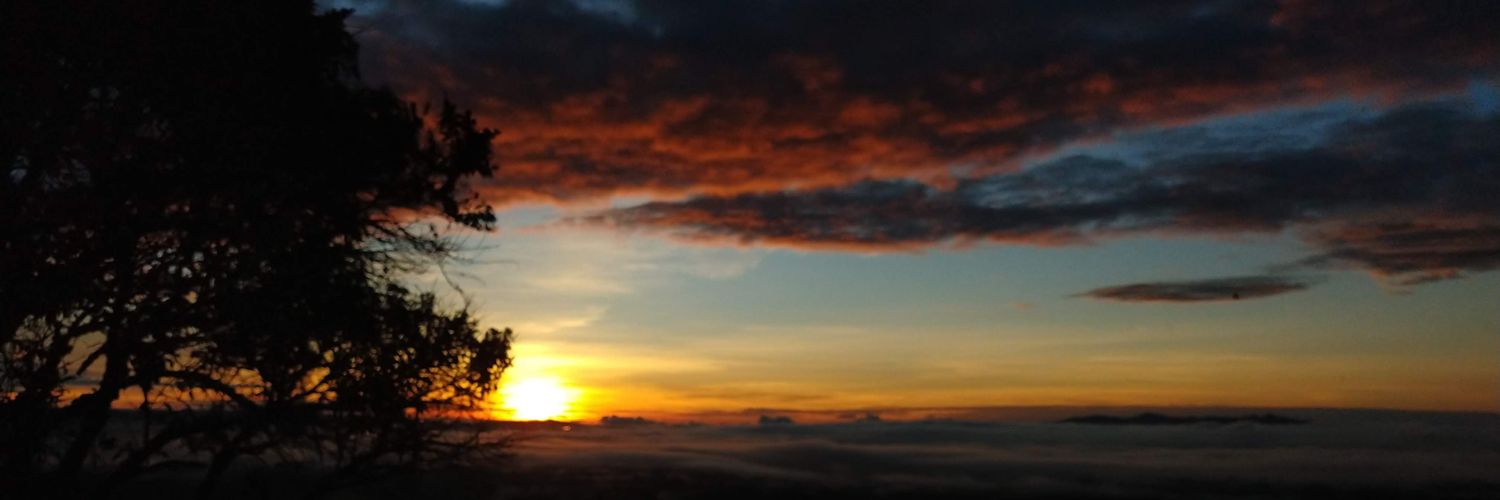 monikitapardo's profile banner image