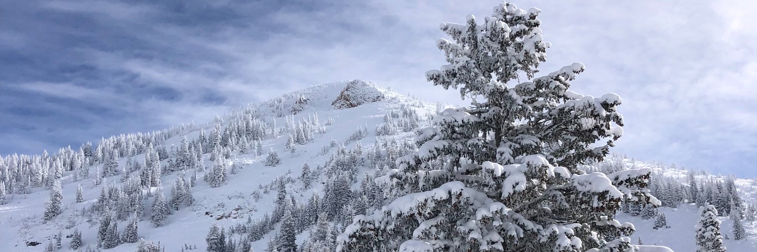 SamBeesley3's profile banner image