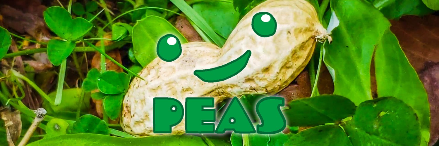 PEAS_animation's profile banner image