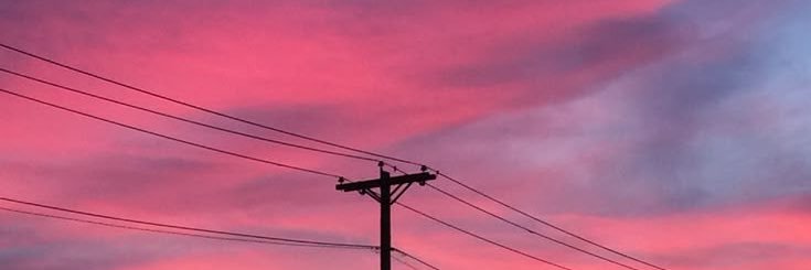 𝚃𝚑𝚊𝚕í𝚊 𝙴𝚜𝚙𝚒𝚗𝚘𝚜𝚊 banner